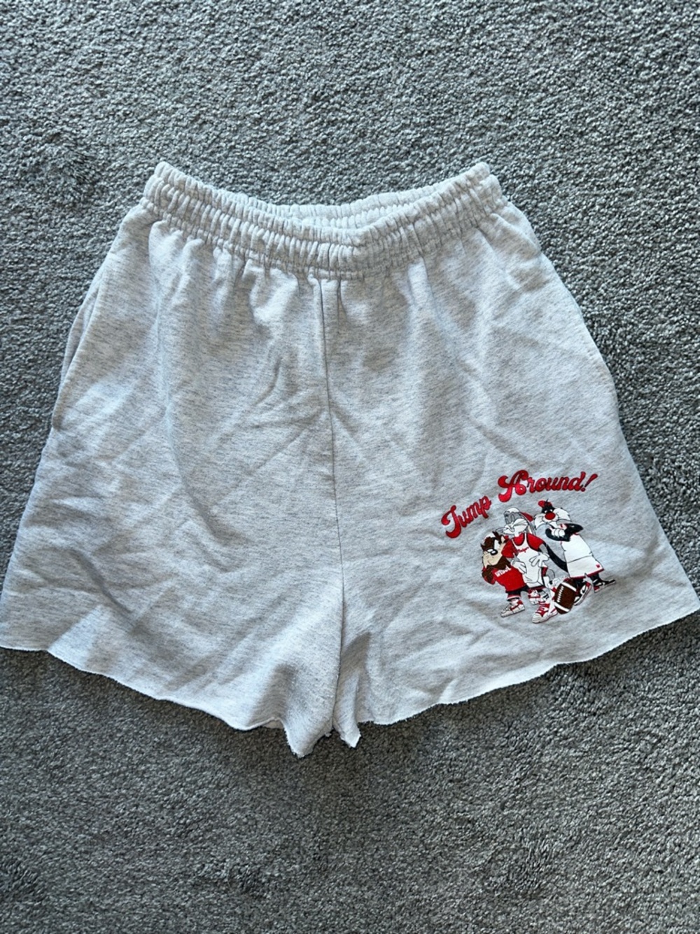 Jerzees University of Wisconsin Light Gray Shorts with Looney Tunes Graphic